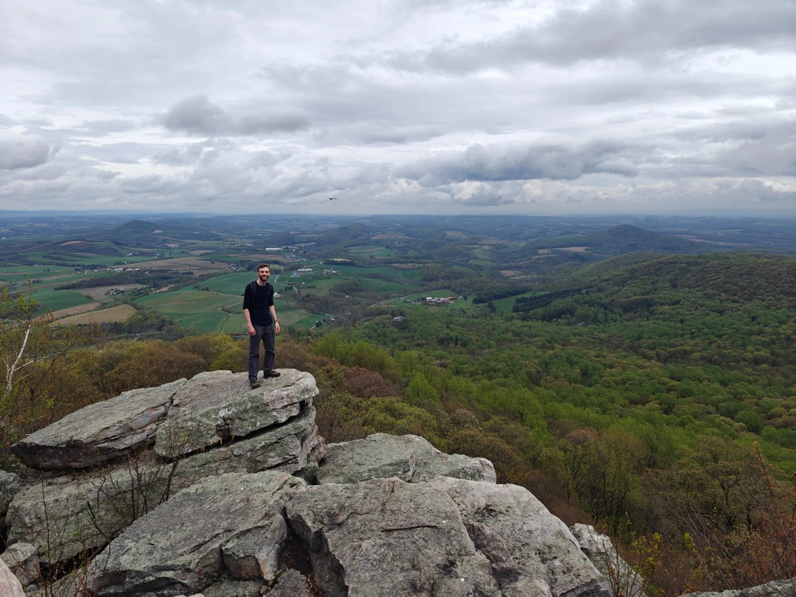 Calum O'Loughnane professional headshot